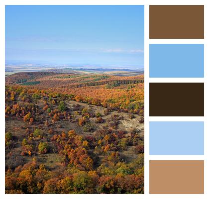 Color Autumn Landscape Landscape Image